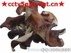 供应 福建家乡 真木特产  真茵黑木耳