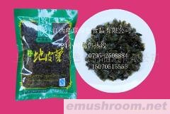 供应Manbetx体育手机版推荐A9版本 地皮菜.地软、地衣、地