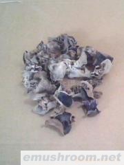 供应ManBetX体育,黑木耳