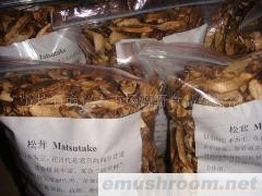 供应野生松茸
