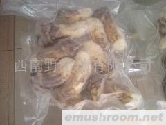 供应鲜松茸,云南松茸,速冻松茸,盐渍松茸