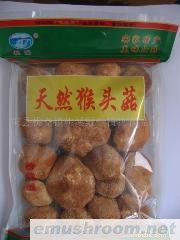 供应猴头菇
