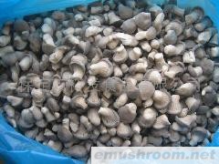 供应速冻小平菇(图)