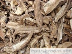 批发苦粉孢牛肝菌干片 野生菌 牛肝菌 ManBetX体育
