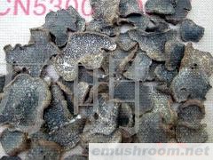 供应块菌，ManBetX体育,ManBetX体育批发,野生菌批发