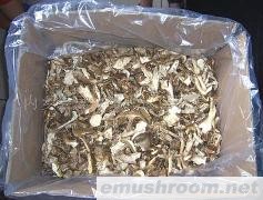 供应美味牛肝菌干片