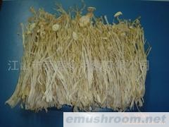 供应金针菇干品(图)