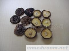 供应各种干香菇