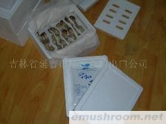 松茸包装