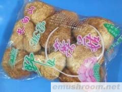 供应野生猴头菇