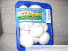 供应A级Manbetx体育手机版推荐A9版本