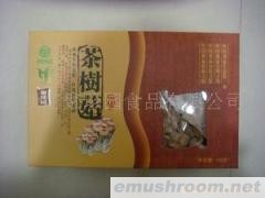 供应茶树菇