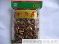 供应鲍鱼菇