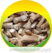 09B03香菇腿、香菇柄、香菇把、香菇脚(图)