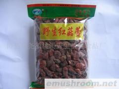 供应梅州土特产