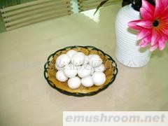 供应特级双孢菇（新鲜）