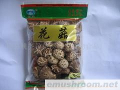 供应Manbetx体育手机版推荐A9版本/花菇