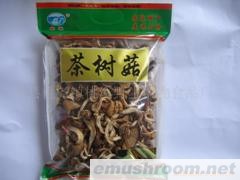 供应Manbetx体育手机版推荐A9版本/短脚茶树菇