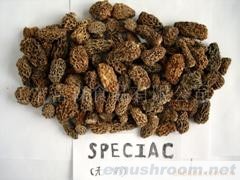 供应优质Manbetx体育手机版V17版本发布.官网安卓网.香港