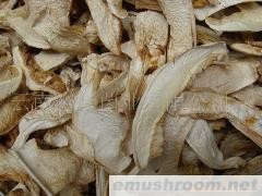 批发无虫、无泥、松茸干片 土特产 野生菌 牛肝菌