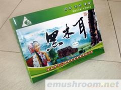 批发供应木耳,黑木耳