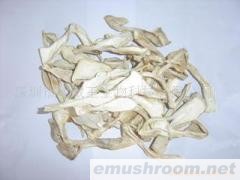 供应干松茸(图)