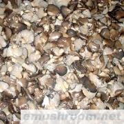 供应各种速冻ManBetX体育(图)