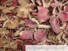 批发红菇  野生菌 牛肝菌 Manbetx体育手机版V17版本发布.官网安卓网.香港