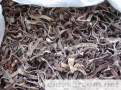 供应速冻黑木耳