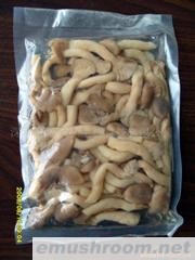 供应姬菇M 级 盐渍(图)