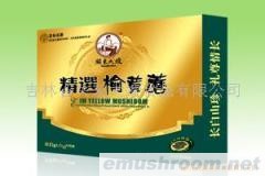 供应关东大嫂162克榆黄蘑(图)