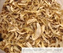 批发松茸一级 干品 鲜品