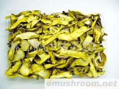 供应,牛肝菌(图)