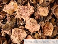 批发谷熟菌 白落伞 黄落伞 细脚黄 红乳牛肝干片