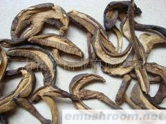 批发大球盖菇干片 黄牛肝碎片 纯小黑桃菌