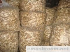 供应野生松茸干片