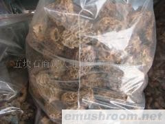 供应野生ManBetX体育