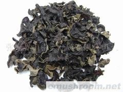 批发供应山木耳（蒂少绝不染色）