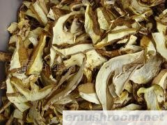 野生菌产品 云南野生菌 食用野生菌 牛肝菌批发