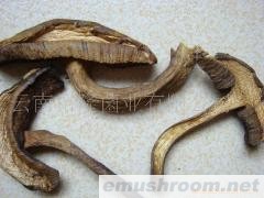 批发天然原质原味野生菌干片图 山珍 蘑菇 绿色食品