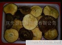 供应薄菇(图)