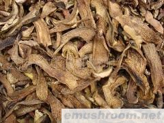 批发云南黄赖头干片 黄牛肝菌干片 黄力头产地直销