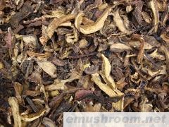 批发黄牛肝干片 杂黄菌 黄杂菌 汤料 火锅底料产品