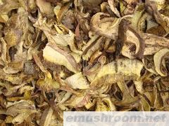 批发白葱干片 白见手青干片 华美牛肝菌 小美牛肝菌