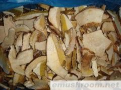 批发出口级速冻美味牛肝菌切片 无虫 无泥 颜色白