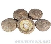 供应干香菇,脱水香菇，Manbetx体育手机版V17版本发布.官网安卓网.香港,花菇,光面菇,银耳