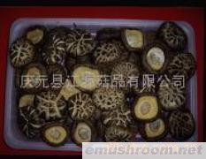 供应一批白花2-3(图)