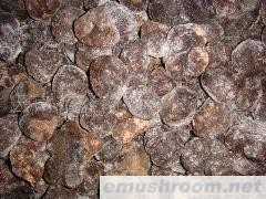 批发速冻黑松露块菌3-5出口级别 速冻松茸及块菌