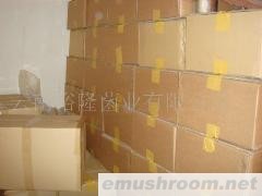 批发速冻块菌 鸡油菌 美味牛肝菌 松茸 黑虎掌菌