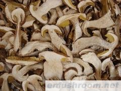 提供美味牛肝菌A B C D级加工 销售 批发出口